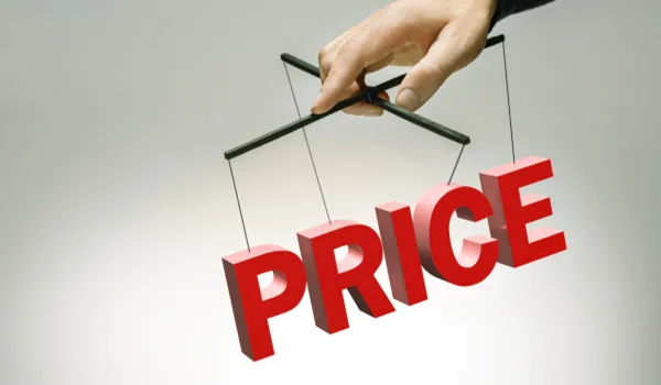 Mahindra Blossom Township Price